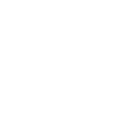 icon_reispech