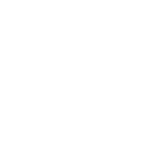 icon_total-loss-diefstal